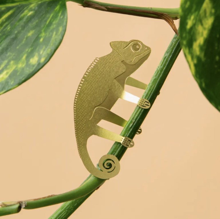 Another Studio Plant Pal