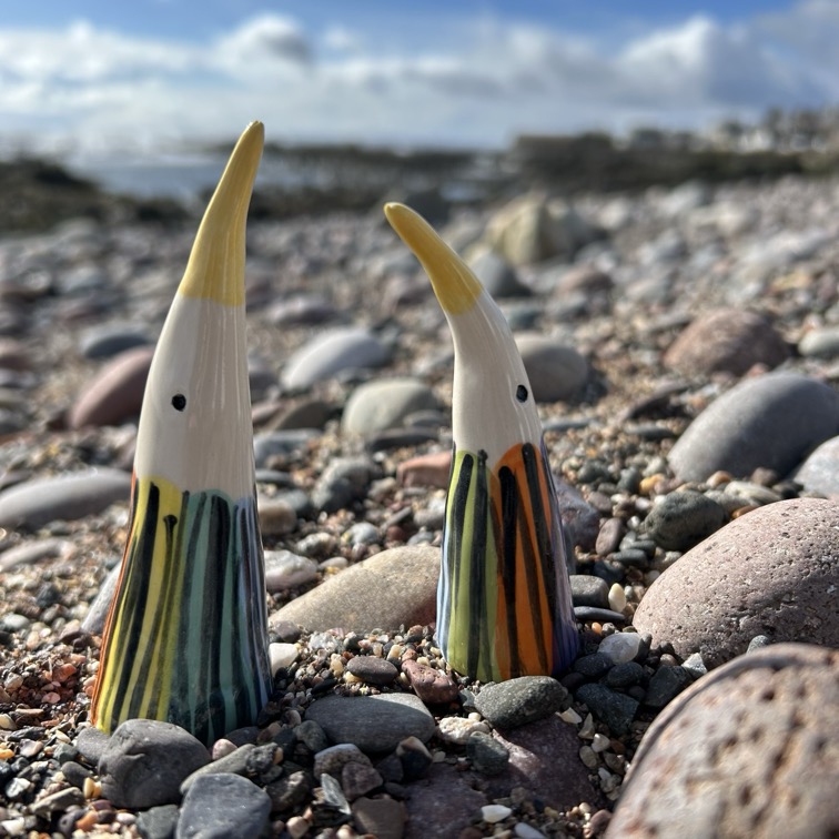 Splashwings by CJ Pottery